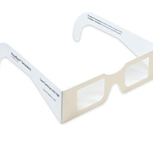 VisualEyes Vision Simulator Glasses Set