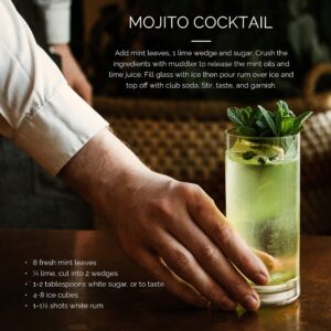 Final Touch Mojito Glass & Muddler Set (FTA1835)