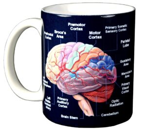 wild cotton brain 11 ounce ceramic coffee mug (wc462m)