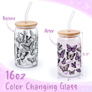 Nefelibata Butterfly Iced Coffee Glass Beer Can Glass Color Changing 16 OZ Pastel Pink & Purple Swallowtail Butterflies Art Glass Mug Present with Lid Drinking Straw Spring Mother's Day Gifts for Her