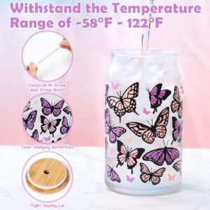 Nefelibata Butterfly Iced Coffee Glass Beer Can Glass Color Changing 16 OZ Pastel Pink & Purple Swallowtail Butterflies Art Glass Mug Present with Lid Drinking Straw Spring Mother's Day Gifts for Her