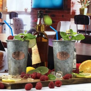 Galrose Galvanized Iron Mint Julep Cups - Set of 2 with Rose Gold Accents, Stainless Steel Lined Double Walled 16 oz Stylish Beer Glasses for Home Bars. Unique 6th Iron Anniversary or Birthday Gift