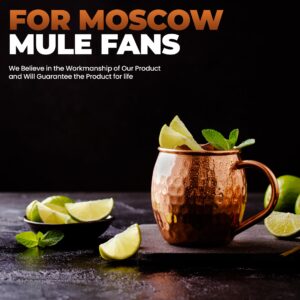 Moscow Mule Cups Set of 4 | 100% Pure Copper Food Safe 16oz Copper Cups with 4X Copper Straws and 1x Copper Jigger - Premium Moscow Mule Mugs