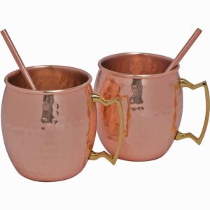 Modern Home Authentic 100% Solid Copper Moscow Mule Straws - Set of 2 - Handmade in India