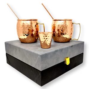 hashcart® moscow mule kit moscow mule mugs copper mule mugs set of 2 moscow mule cups hand hammered with 1 shot glass, 2 cocktail straws & gift box (16 oz)