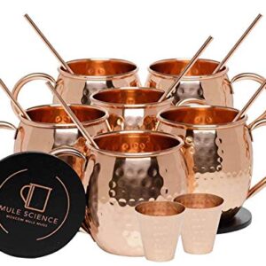 Deco 89 18 Ounce Drinking Mug, Set of 4 Moscow Mule Hammered Copper