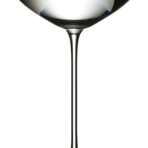 Riedel Veritas Moscato/Coupe/Martini Glass, Pack of 4 Includes Wine Pourer with Stopper and Polishing Cloth
