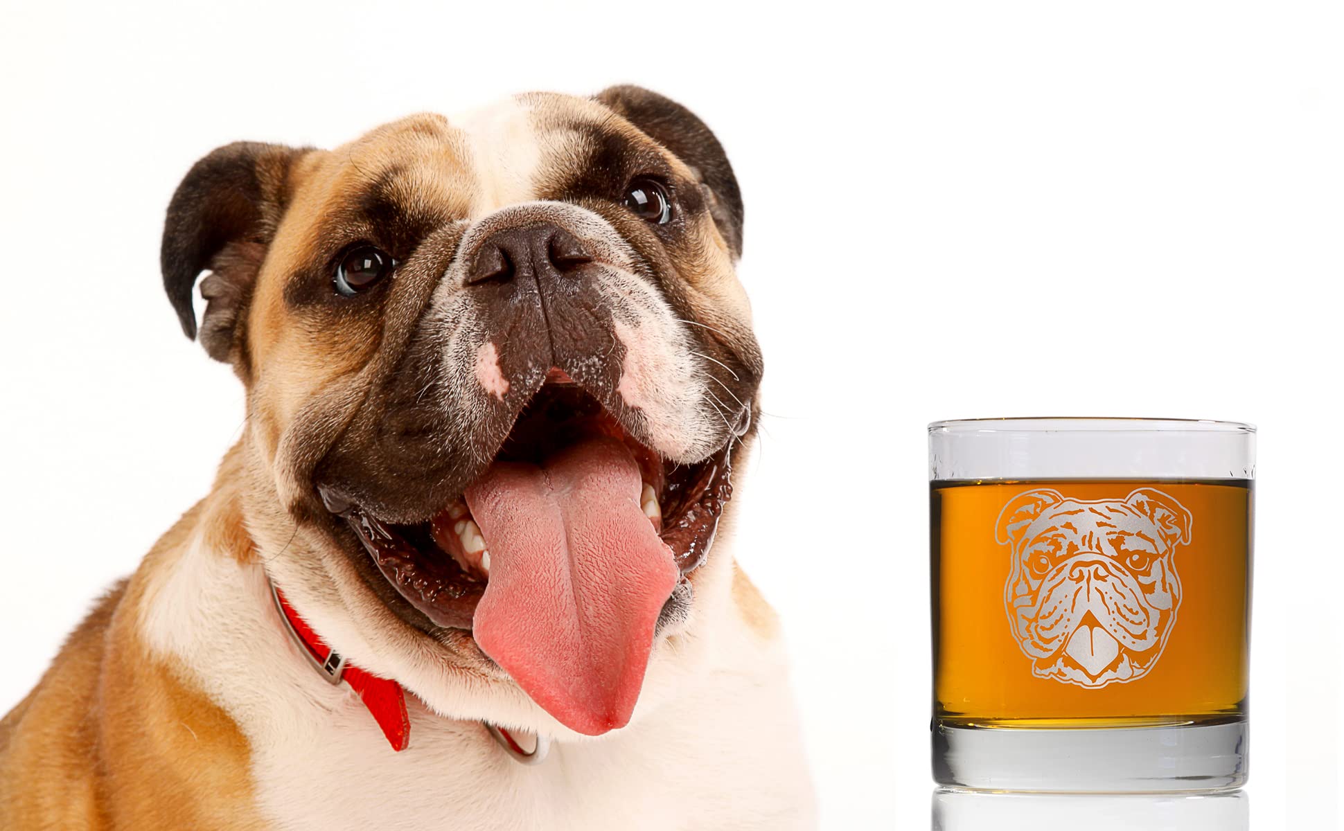 Promotion & Beyond Bulldog Face Cute Whiskey Glass - Funny Gift for Dad Uncle Grandpa From Daughter Son Wife - Father's Day