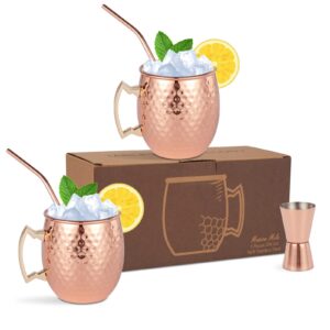 moscow mule mugs set of 2 - hammered moscow mule mugs drinking cup stainless steel lining with 2 straws-1 jigger-great dining entertaining bar gift set (mug set of 2 double jigger included)