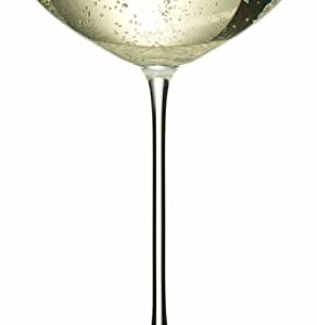 Riedel Veritas Moscato/Coupe/Martini Glass (2-Pack) Bundle with Wine Pourer Bundle (2 Items)