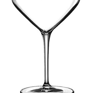 Luigi Bormioli Atelier 10 oz Cocktail Glasses (Set of 6), Clear, 6 Count (Pack of 1)