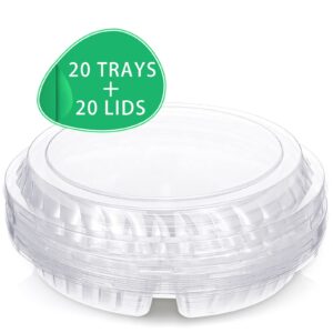 20 Pieces Plastic Appetizer Trays with Lids Disposable Platter Buffet Compartment Serving Tray for Fruit Veggie Snack Food Containers (Clear,6 Grids)