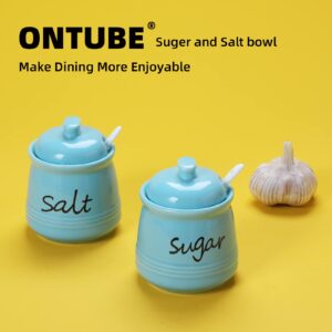 ONTUBE 12oz Sugar and Salt Bowls with Lid and Spoon, Ceramics Condiment Pots,Seasoning Jar Spice Container for Kitchen,Dishwasher Safe (Turquoise)