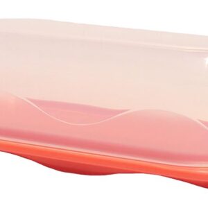 Tupperware Butter Dish