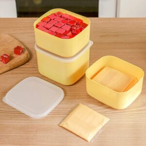 Luxshiny 2pcs Cheese Slice Holder Cheese Keeper Box Reusable Butter Box Plastic Cheese Storage Containers Airtight Fresh Keep Cheese Case with Lids for Home Kitchen Fridge