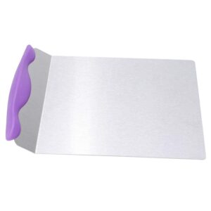 Cake Lifter Shovel, Cake Pizza Transfer Tray Moving Plate Easy Transfer for Pastry Baking for Serving Pizzas Cakes, Breads And Pastries