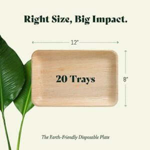 Chic Leaf Disposable Palm Leaf Trays Like Rectangle Bamboo Serving Tray 12"x8" (20 pk) - All Natural and 100% Compostable Party Trays for Charcuterie Boards, Catering, Wedding, Party