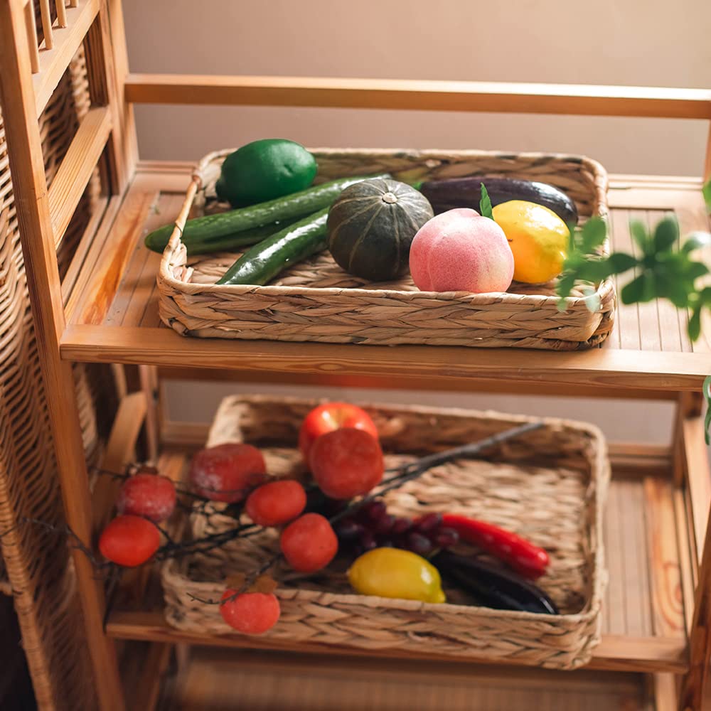 Grass Weaving Tray, Grass Storage Bins for Fruit or Tea,Arts and Crafts. (1) (Tray-A-S)