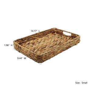 Grass Weaving Tray, Grass Storage Bins for Fruit or Tea,Arts and Crafts. (1) (Tray-A-S)