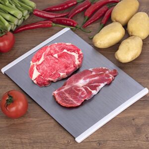 starchain Kitchen Frozen Meat Defrost Tray - Thermally Conductive Aluminum Defrost Plate - Large Defrost Defrost Tray for Frozen Fish, Frozen Beef, Frozen Chicken