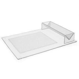 Srenta 9” Clear Acrylic Cheese And Cracker Server And Holder Tray|12” Wide Food Display Stand |Shatterproof | Unbreakable | Reusable |Indoor or Outdoor Serving Tool For Home, Wedding Events, Parties