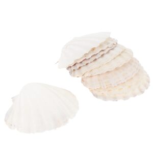 10 pcs natural baking sea shells, 5 inch baking shells, scallop shells for serving food (random color)