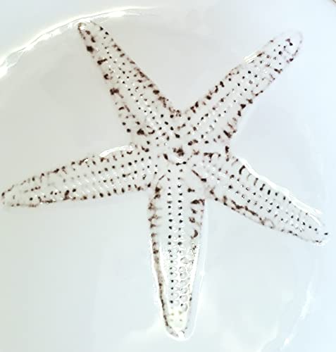 Sigrid Olsen Melamine Starfish Serving Platter White 11x11 inch