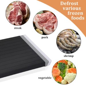 HKISIT Defrosting Tray | Fast Thawing Plate Board with Removable Drip Trough| Premium Quality Defrost Tray with HDF High-density Aerospace Alloy, Non-stick (Black)