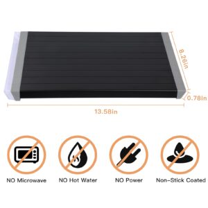 HKISIT Defrosting Tray | Fast Thawing Plate Board with Removable Drip Trough| Premium Quality Defrost Tray with HDF High-density Aerospace Alloy, Non-stick (Black)