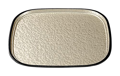 Fukui Craft 17416290 Shaku 3 Oval Tray, Champagne Gold, Aqua Tenkoku SL