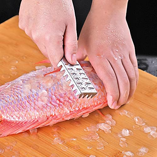 Fish Scaler,Stainless Steel Brush Fish Scaler Remover Easily Remove Fish Scales,Cleaning Brush Scraper Kitchen Tool