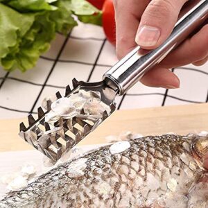 Fish Scaler,Stainless Steel Brush Fish Scaler Remover Easily Remove Fish Scales,Cleaning Brush Scraper Kitchen Tool