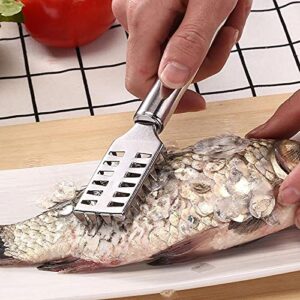 Fish Scaler,Stainless Steel Brush Fish Scaler Remover Easily Remove Fish Scales,Cleaning Brush Scraper Kitchen Tool