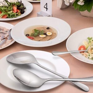 LIANYU Serving Spoon Set of 6, 9.8 Inch Stainless Steel Large Dinner Buffet Catering Banquet Serving Spoons, Mirror Finish, Dishwasher Safe