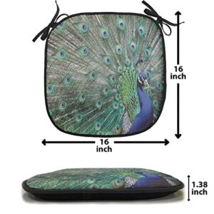 Lunarable Peacock Chair Cushion Pads Set of 4, Peacock Displaying Elongated Majestic Feathers Open Wings Picture, Anti-Slip Seat Padding for Kitchen & Patio, 16"x16", Pale Brown Navy Blue