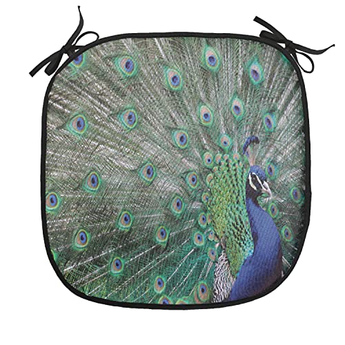 Lunarable Peacock Chair Cushion Pads Set of 4, Peacock Displaying Elongated Majestic Feathers Open Wings Picture, Anti-Slip Seat Padding for Kitchen & Patio, 16"x16", Pale Brown Navy Blue