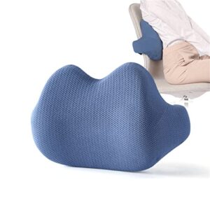 psvod butt and back cushion for office chair，back cushion for office chair posture pink,pillow seat cushions for chairs (blue)