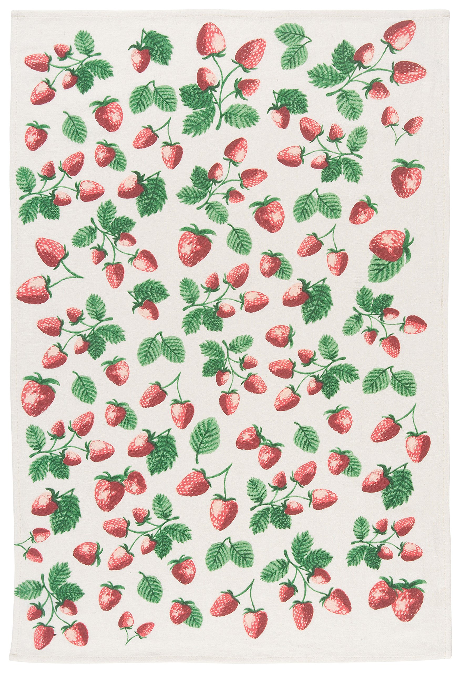 Now Designs Berry Patch Cotton Floursack Kitchen Dish Towels 20 x 30in, Set of 3, Red, Blue, Green, White