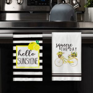 Artoid Mode Watercolor Stripes Lemon Kitchen Dish Towels Squeeze The Day, 18 x 26 Inch Seasonal Spring Summer Hello Sunshine Ultra Absorbent Drying Cloth Tea Towels for Cooking Baking Set of 2