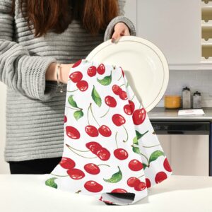 susiyo Red Cherry Fruits Kitchen Dish Towel, Set of 4 Pcs Soft Polyester Dish Cloth for Cooking Washing, 28 X 18 Inch