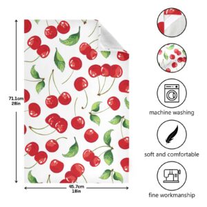 susiyo Red Cherry Fruits Kitchen Dish Towel, Set of 4 Pcs Soft Polyester Dish Cloth for Cooking Washing, 28 X 18 Inch