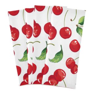 susiyo Red Cherry Fruits Kitchen Dish Towel, Set of 4 Pcs Soft Polyester Dish Cloth for Cooking Washing, 28 X 18 Inch