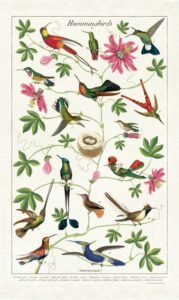 cavallini & co., hummingbirds vintage kitchen / tea towel