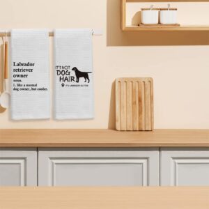 Knibeo Black Lab Kitchen Towels - Labrador Retriever Gifts, Set of 2, 16x24 Inch Lab Tea Towel Kitchen Dish Towel Set, Lab Hand Towels