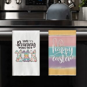 Artoid Mode Some Bunny Loves You Happy Easter Home Kitchen Towels, 18 x 26 Inch Holiday Spring Ultra Absorbent Drying Cloth Dish Towels for Cooking Baking Set of 2