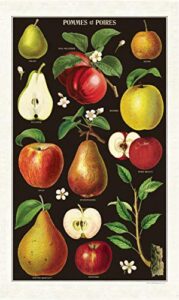 cavallini papers & co. apples & pears tea towel, multi
