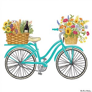 Alice's Cottage Spring Bicycle Flour Sack Kitchen Towels Set of 2 Cotton