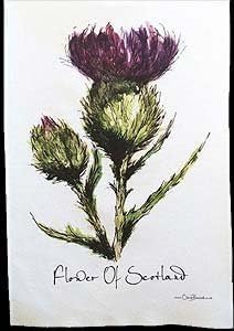 clare baird creations flower of scotland tea towel in a scottish thistle design