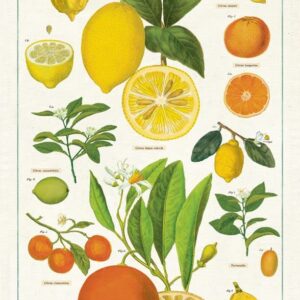 Cavallini - Cotton - Citrus Tea Towel