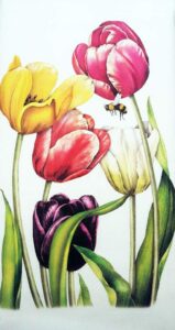 mary lake thompson spring rainbow tulips easter 100% cotton flour sack dish tea towel 30" x 30"
